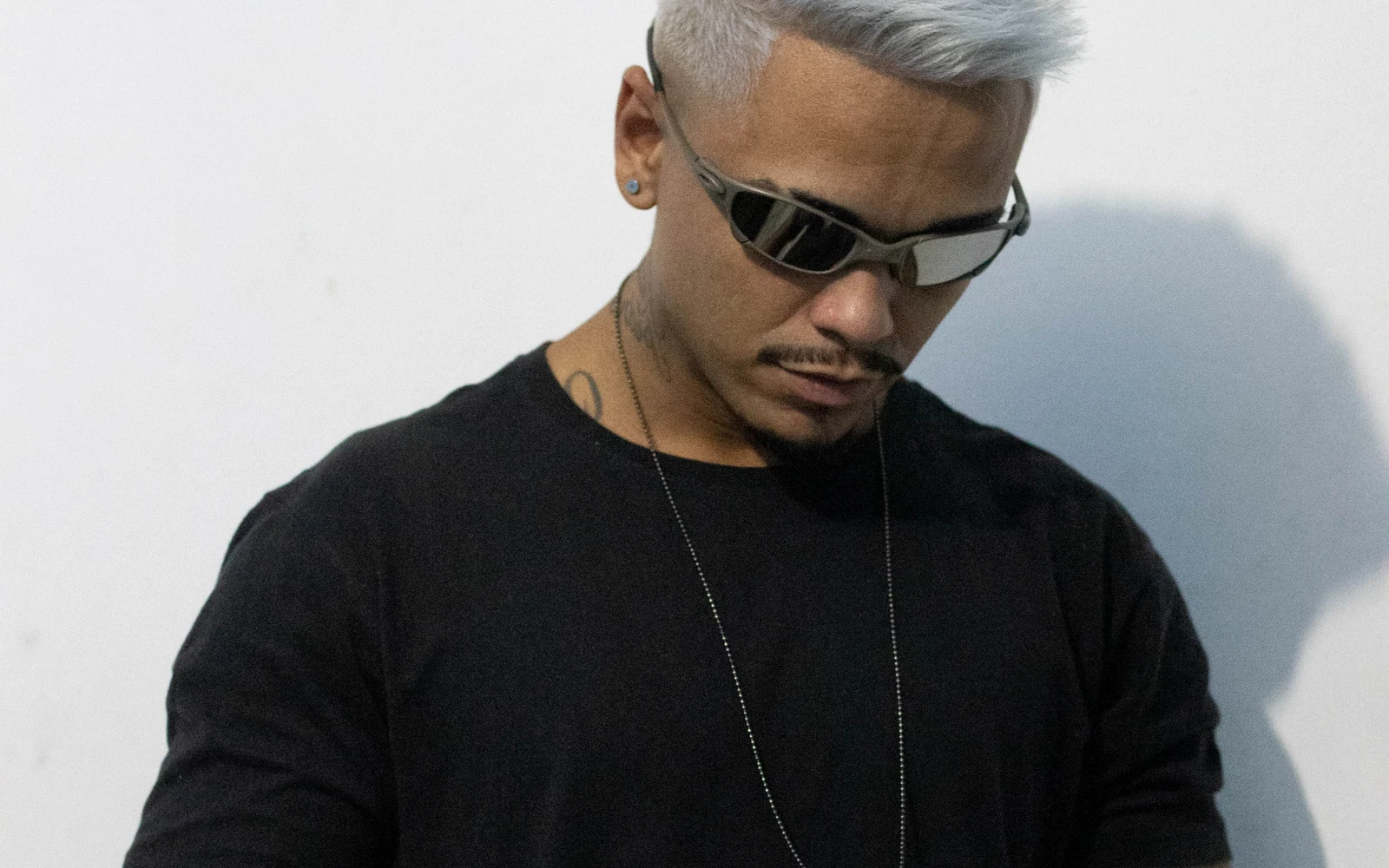 Houkes em retrato oficial